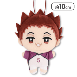 【天童覚】ハイキュー!!　ぬいぷりけmini2