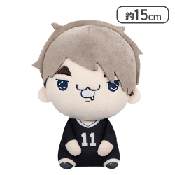 【宮治】ハイキュー!! もちぴこぬいぐるみ9