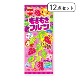 【12点セット】もぎもぎフルーツグミ※賞味期限:2026/11/30