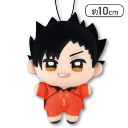 【黒尾哲朗】ハイキュー！！ ぬいぷりけmini３