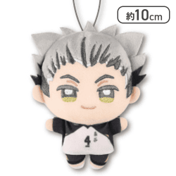 【木兎光太郎】ハイキュー！！ ぬいぷりけmini３