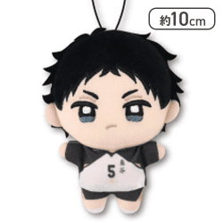 【赤葦京治】ハイキュー！！ ぬいぷりけmini３