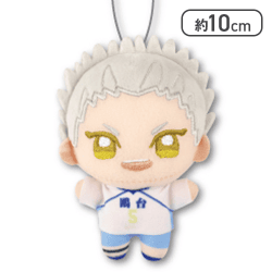 【星海光来】ハイキュー！！ ぬいぷりけmini４