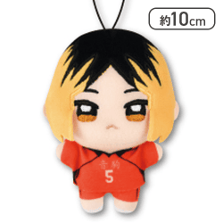 【孤爪研磨】ハイキュー！！ ぬいぷりけmini３