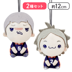 【田中龍之介＆菅原孝支】ハイキュー!! もちぴこマスコットvol.2