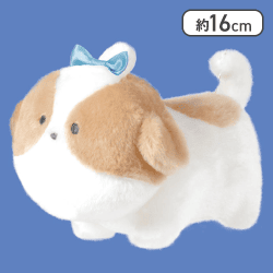 【しーずー】つぶらな瞳の犬 しっぽぶんぶん