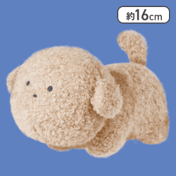 【といぷーどる】つぶらな瞳の犬 しっぽぶんぶん