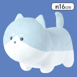 【しべりあん・はすきー】つぶらな瞳の犬 しっぽぶんぶん