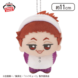 【天童覚】ハイキュー!! ちびぐるみ〜アニマルポンチョ〜vol.3