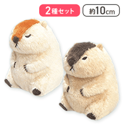 【もっとっと＆はまもと】マーモットのもっとっとマモ座りLMC