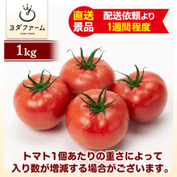 桃太郎トマト 1kg：直送