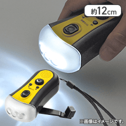 ミニラジオライト