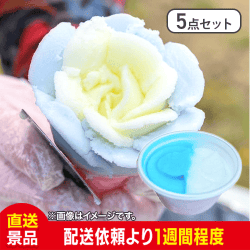 【5点セット】児玉冷菓のババヘラアイス2色アイスカップ(ソーダ＆レモン味)：直送