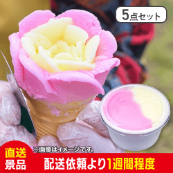 【5点セット】児玉冷菓のババヘラアイス2色アイスカップ(いちご＆バナナ味)：直送