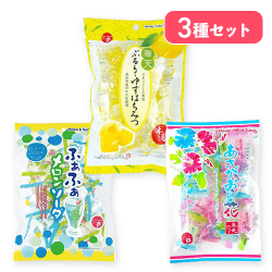 【3種セット】ぷるりゆずはちみつ&ふぁふぁメロンソーダ&あさがおの花※賞味期限:2026/08/24