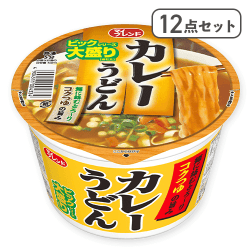 【12点セット】ビック カレーうどん※賞味期限:2026/10/31