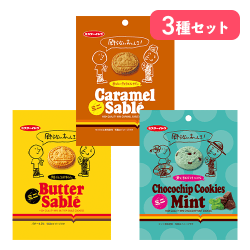 【3種セット】バターサブレ&キャラメルサブレ&チョコチップクッキーミント※賞味期限:2027/01/28