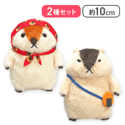 【もっとっと＆はまもと】マーモットのもっとっとおめかしLMC
