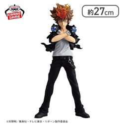 家庭教師ヒットマンREBORN! Grandista-TSUNAYOSHI SAWADA-