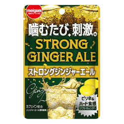 【単品配送不可】ストロングジンジャーエール※賞味期限:2027/07/31<50CPキャッチャー>