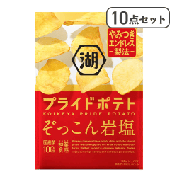 【10点セット】湖池屋プライドポテト ぞっこん岩塩※賞味期限:2027/02/28