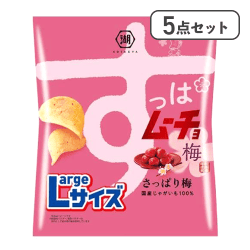 【5点セット】Largeサイズ すっぱムーチョチップスさっぱり梅※賞味期限:2027/04/30