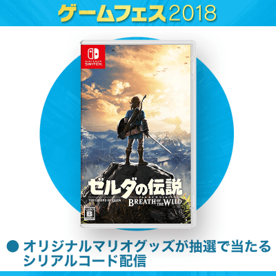 【数量限定】Switch‎専用ソフト ゼルダの伝説 ブレス オブ ザ ワイルド