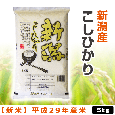 新潟産 こしひかり 白米 5kg 平成29年産米