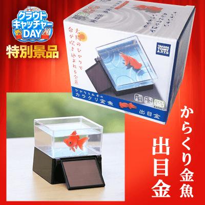 【数量限定】ひかりとみずのカラクリ金魚 出目金