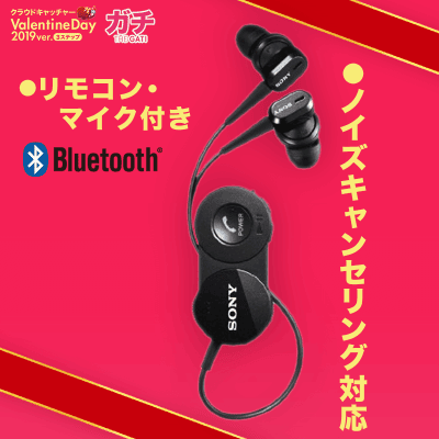 【数量限定】SONY ワイヤレスイヤホン DR-BT150NC/B