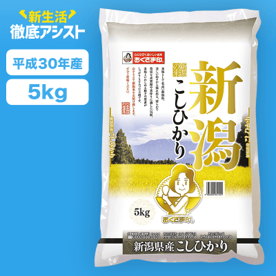 【数量限定】新潟県産 こしひかり 5kg