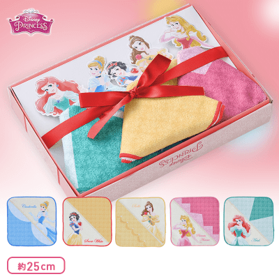 ディズニープリンセス PMドレス風ハンドタオルギフトセット