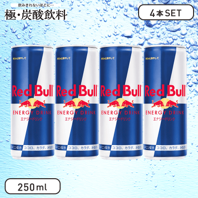 【極-炭酸飲料】レッドブルエナジードリンク 250ml (4本セット)