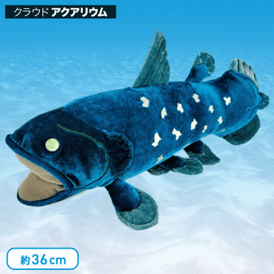 水族館】カロラータシーラカンス ぬいぐるみ | オンラインクレーン