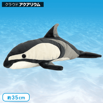 【水族館】カロラータ カマイルカ ぬいぐるみ