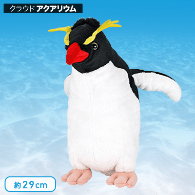 【水族館】カロラータ イワトビペンギン ぬいぐるみ