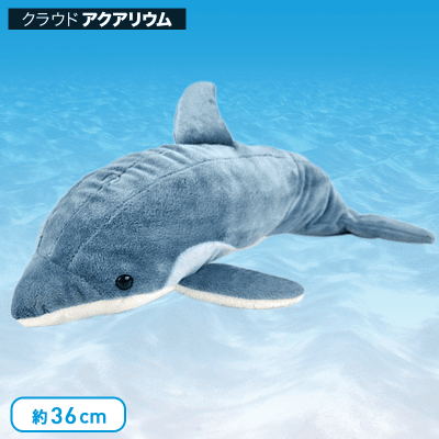 【水族館】カロラータ ハンドウイルカ ぬいぐるみ