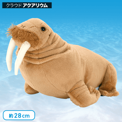 水族館】カロラータ セイウチ ぬいぐるみ | オンラインクレーンゲーム