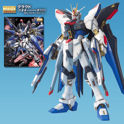 【MG】1/100 ZGMF-X20A ストライクフリーダムガンダム