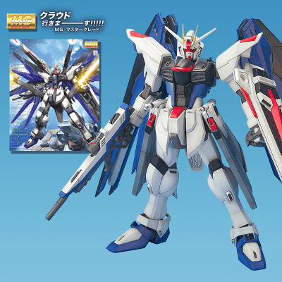 【MG】 1/100 ZGMF-X10A フリーダムガンダム