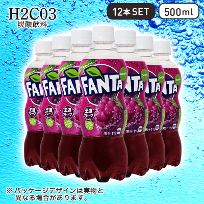 【H2CO3～炭酸飲料～】ファンタ グレープ 500ml 12本セット