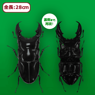 ヒラタクワガタ MEGAフィギュア | オンラインクレーンゲーム