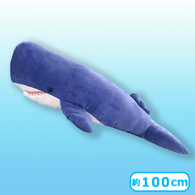 マッコウ】くったりクジラ超BIG | オンラインクレーンゲーム「クラウド