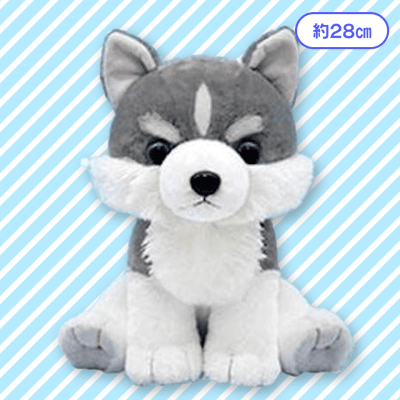 【シベリアンハスキー】もふっとオオカミ友達がきたよJB