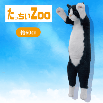 ハチワレ】たっちぃZooにゃんこ | オンラインクレーンゲーム「クラウド