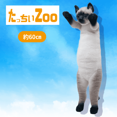 シャム猫】たっちぃZooにゃんこ4 | オンラインクレーンゲーム