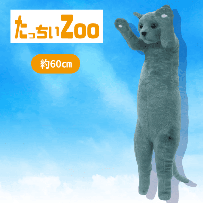【ロシアンブルー】たっちぃZooにゃんこ