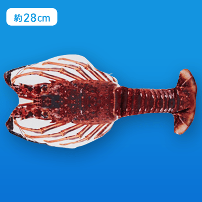 【伊勢海老】FANS ピチピチ動く！エビ&タイぬいぐるみ