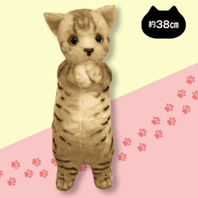 【キジトラ】チョコントにゃんこヌイグルミ おねだり