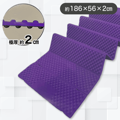 【パープル】3DTuneスリーパー